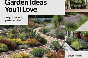 garden ideas
